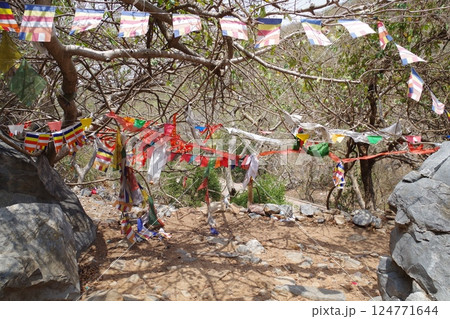 インド　仏教八大聖地ラージギル　霊鷲山 124771644