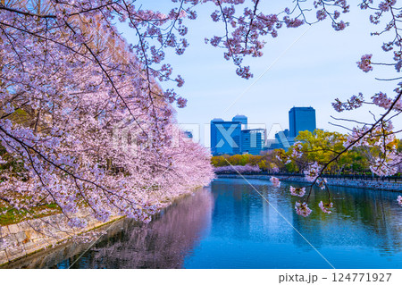 大阪城東外濠の桜並木と大阪ビジネスパーク 大阪城東外濠の桜並木と大阪ビジネスパーク 124771927