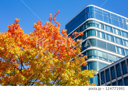 Autumn in city 124771991