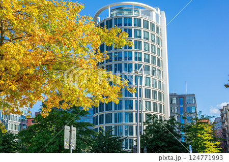 Autumn in city Autumn in city 124771993