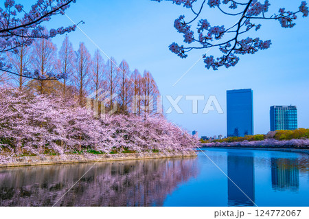大阪城東外濠の桜並木と大阪ビジネスパーク 124772067