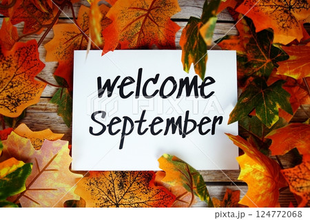 Welcome September text with maple leaf decoration top view on wooden background 124772068