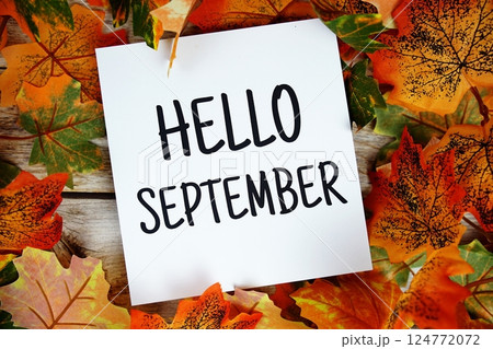 Hello September text with maple leaf decoration top view on wooden background 124772072