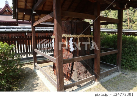 春の日の京都城南宮の庭園 春の日の京都城南宮の庭園 124772391