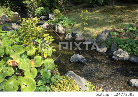 春の日の京都城南宮の庭園 春の日の京都城南宮の庭園 124772393