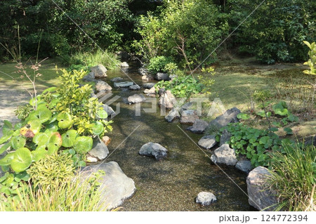 春の日の京都城南宮の庭園 春の日の京都城南宮の庭園 124772394