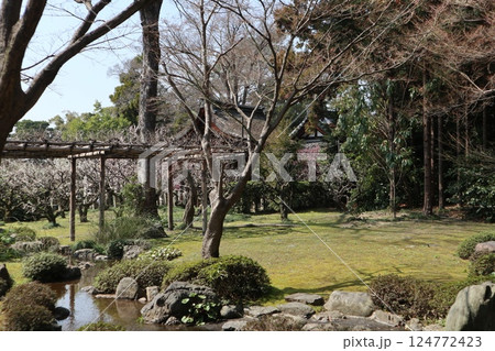 春の日の京都城南宮の庭園 春の日の京都城南宮の庭園 124772423