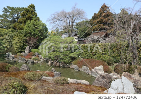 春の日の京都城南宮の庭園 124772436