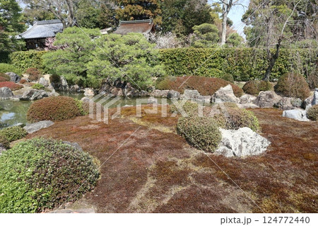 春の日の京都城南宮の庭園 春の日の京都城南宮の庭園 124772440