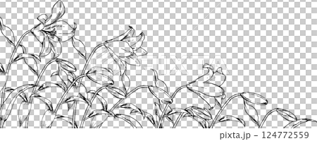 ペンで描いた百合の花畑のイラスト 124772559