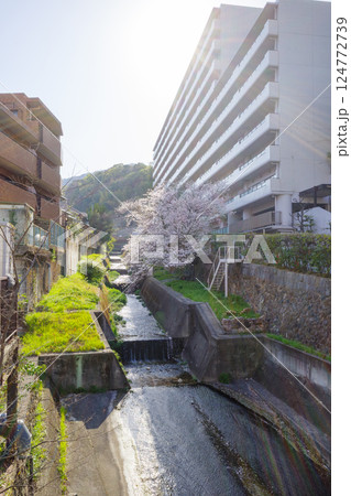 塩谷川 塩谷川 124772739