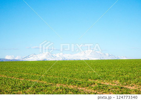 北海道美瑛の丘の爽やかな春の風景 124773340