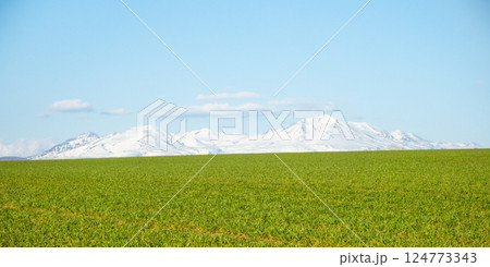 北海道美瑛の丘の爽やかな春の風景 124773343