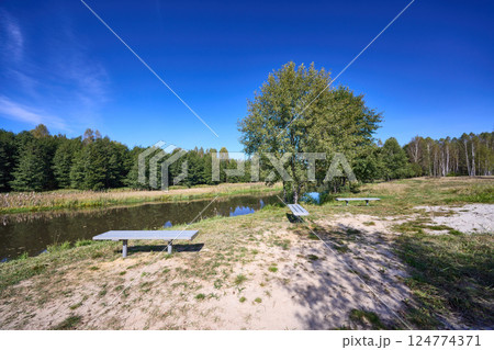Serene Riverbank Scene with Lush Greenery Serene Riverbank Scene with Lush Greenery 124774371