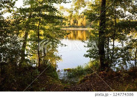 Serene Riverbank Scene with Lush Greenery 124774386