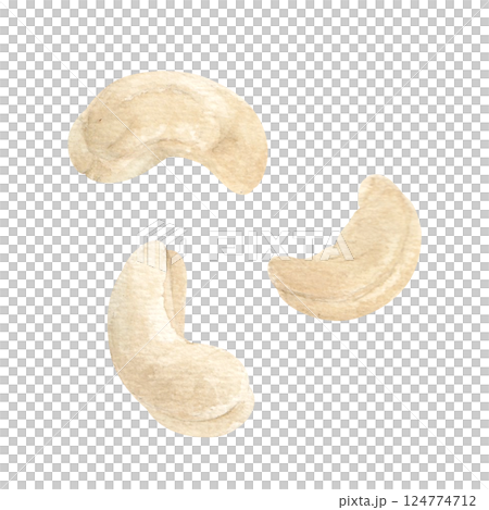 Watercolor hand-drawn illustration of cashew nuts Watercolor hand-drawn illustration of cashew nuts 124774712