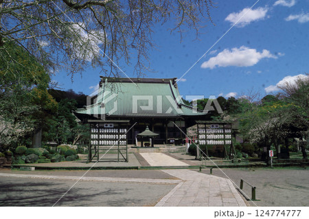 遊行寺_本堂 遊行寺_本堂 124774777