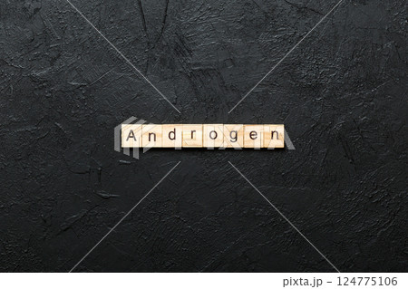 androgen word written on wood block. androgen text on table, concept androgen word written on wood block. androgen text on table, concept 124775106