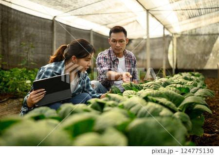 Farmers using modern technology to monitor and manage crop production in organic greenhouse 124775130