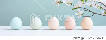 Easter eggs and cherry blossoms on pastel blue wood table background 124775671