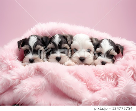 かわいい子犬 124775754