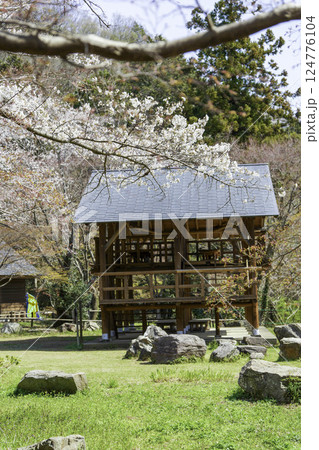 桜とログハウスのある風景 桜とログハウスのある風景 124776104