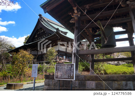 遊行寺_鐘楼と本堂 遊行寺_鐘楼と本堂 124776586