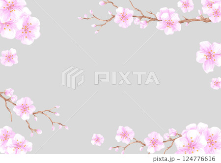 Hand drawn watercolor cherry blossom branch frame border. Illustration of flowers isolated on grey background. Can be used for business card, invitation, scrapbook and other printed products. 124776616