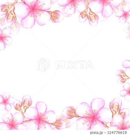 Hand drawn watercolor cherry blossom branch frame border. Illustration of flowers isolated on white background. Can be used for postcard, album, scrapbook and other printed products. Hand drawn watercolor cherry blossom branch frame border. Illustration of flowers isolated on white background. Can be used for postcard, album, scrapbook and other printed products. 124776619