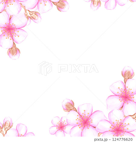 Hand drawn watercolor cherry blossom branch frame border. Illustration of flowers isolated on white background. Can be used for postcard, album, scrapbook and other printed products. 124776620