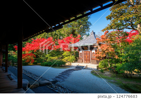Kenninji temple terrace by stone garden and shrine at fall, Kyoto Kenninji temple terrace by stone garden and shrine at fall, Kyoto 124776683