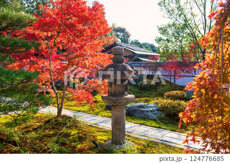 Lantern post with fall colorful maple leaves at Kenninji temple, Kyoto Lantern post with fall colorful maple leaves at Kenninji temple, Kyoto 124776685