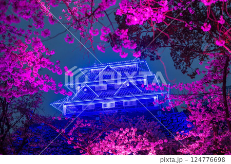 Sakura or cherry blossom with pink light up and Fukuoka Castle ruins Sakura or cherry blossom with pink light up and Fukuoka Castle ruins 124776698