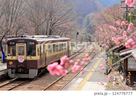 わたらせ渓谷鐵道「花桃の花咲く神戸駅風景」3月下旬 わたらせ渓谷鐵道「花桃の花咲く神戸駅風景」3月下旬 124776777