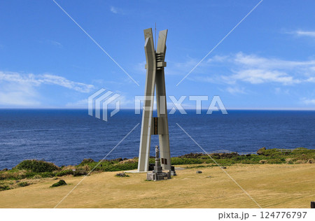 徳之島犬田布岬（鹿児島県） 124776797