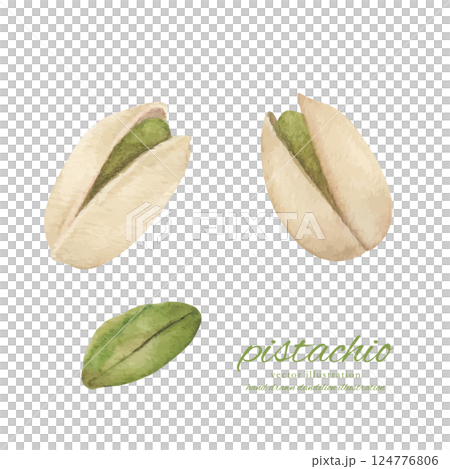 水彩手書きのピスタチオのベクターイラストセット 水彩手書きのピスタチオのベクターイラストセット 124776806