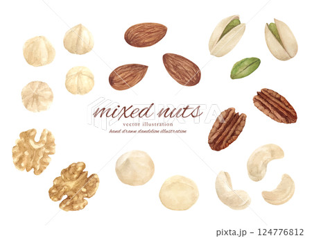水彩手書きのミックスナッツのベクターイラストセット 124776812