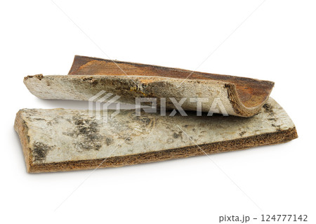 piece of aspen bark isolated on white background. 124777142