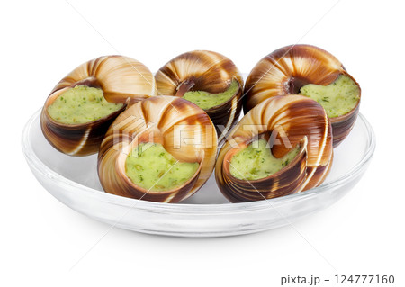 escargot snail filled with garlic and parsley butter in glass bowl isolated on white background 124777160