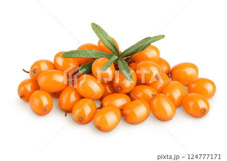 Sea buckthorn. Fresh ripe berry with leaves isolated on white background macro 124777171