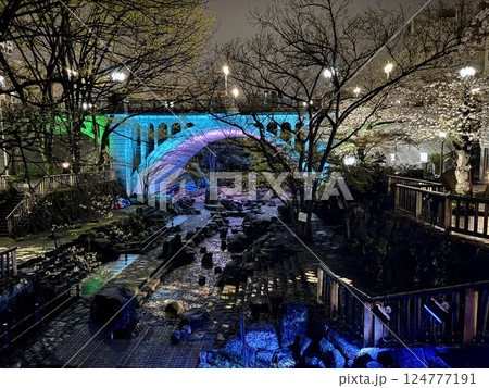 音無親水公園の春のライトアップされた夜桜 音無親水公園の春のライトアップされた夜桜 124777191