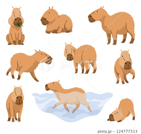 Capybaras. Cartoon cute animal, wild herbivore mammal resting. Funny adorable exotic animal relaxing. Cartoon flat vector illustration 124777313