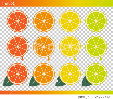 さわやか柑橘セット 124777358