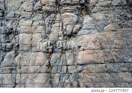 露出した地層　甑島 124777407