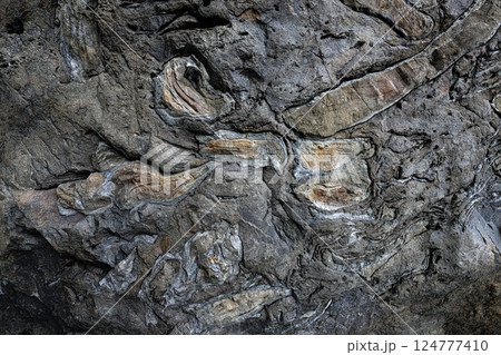 露出した地層　甑島 124777410