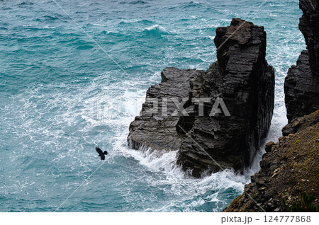 露出した地層　夜萩円山公園 124777868