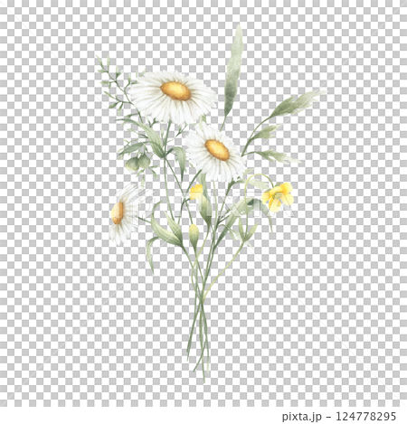 Bouquet floral of watercolor wildflowers chamomile, buttercup and meadow grasses isolated from background. Hand drawn illustration of yellow flowers for fabric print, packaging, cards and stickers. Bouquet floral of watercolor wildflowers chamomile, buttercup and meadow grasses isolated from background. Hand drawn illustration of yellow flowers for fabric print, packaging, cards and stickers. 124778295