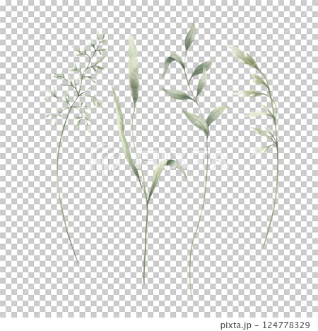 Meadow green grasses, four various field thin herbs. Hand drawn herbal watercolor illustration. Set of elements isolated from background. Sketch of wild greenery for natural, farm and rustic design. Meadow green grasses, four various field thin herbs. Hand drawn herbal watercolor illustration. Set of elements isolated from background. Sketch of wild greenery for natural, farm and rustic design. 124778329