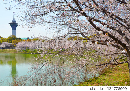 大阪　水辺に桜が咲く春の鶴見緑地公園 124778609