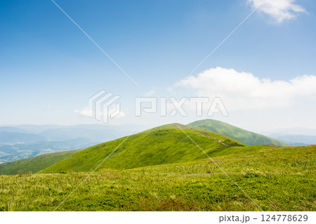 carpathian mountain landscape of ukraine in summer. panoramic highland. wonderful nature scenery of alpine grassy meadow and green hills on a sunny day under blue sky. popular travel destination 124778629
